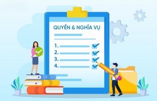 Quyền và nghĩa vụ các bên
